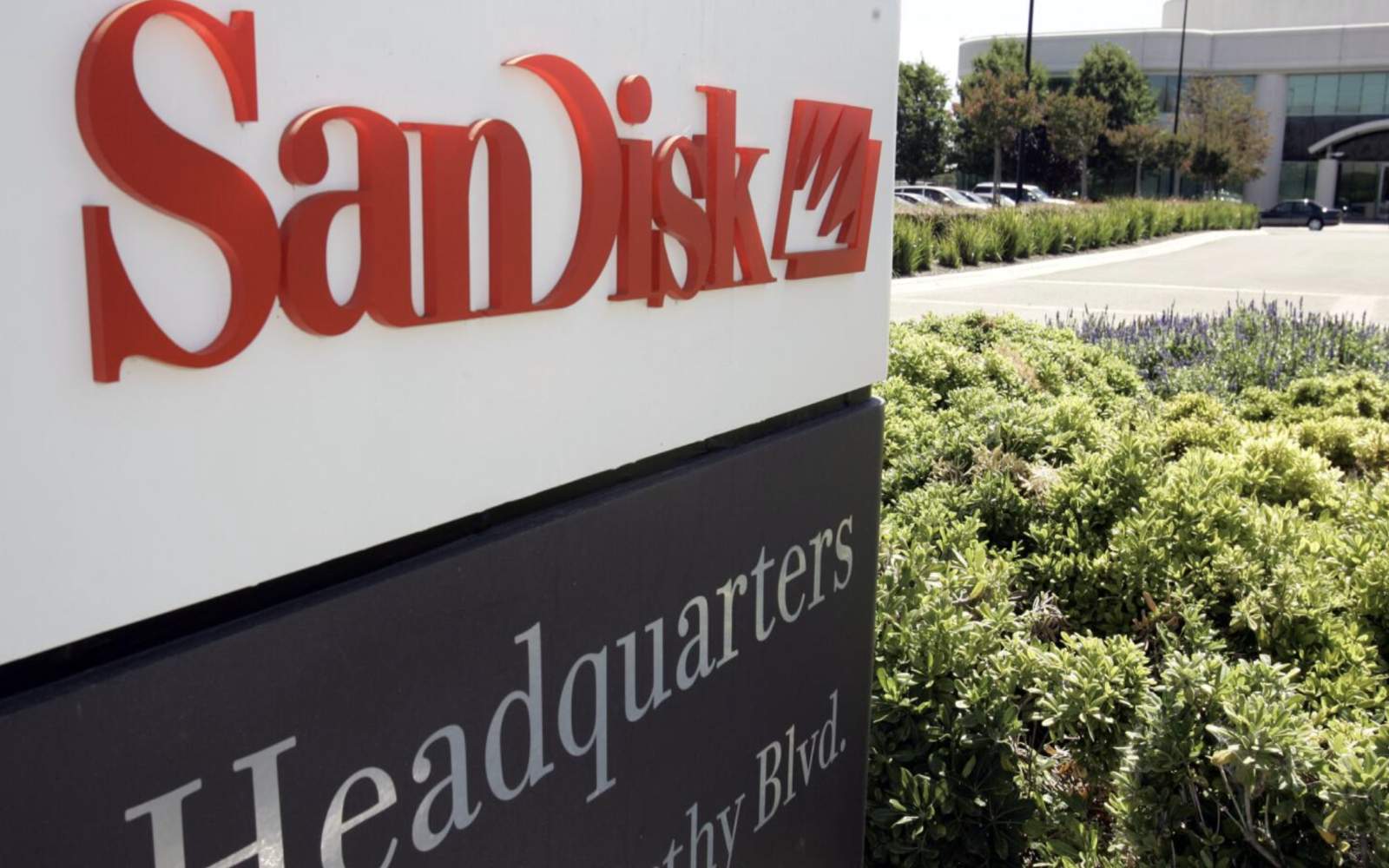 A digital representation of financial charts and data flows, with the SanDisk logo prominently displayed, symbolizing in-depth analysis of its investment strategy